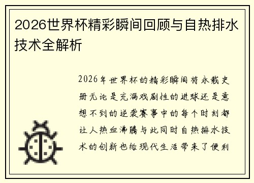 2026世界杯精彩瞬间回顾与自热排水技术全解析 2026世界杯精彩瞬间回顾与自热排水技术全解析